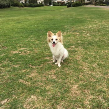 Plumosa Park - Sheldon loves it here! - Parks Near Me - San Diego, California Plumosa Park - Sheldon loves it here! - Parks Near Me - San Diego, California