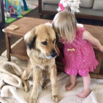 County Line Veterinary Clinic - Veterinarians Near Me - New Braunfels, Texas County Line Veterinary Clinic - Veterinarians Near Me - New Braunfels, Texas
