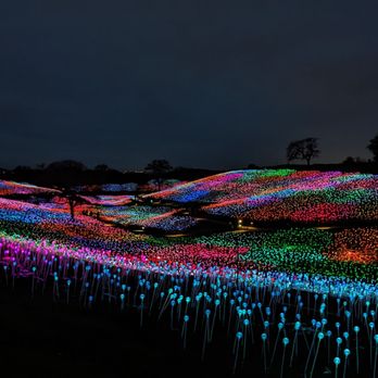 Sensorio - Art Galleries Near Me - Paso Robles, California
