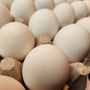 Photo of Demler Brothers Egg Basket