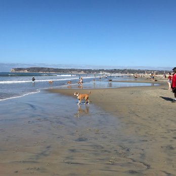 Coronado Dog Beach - Beaches Near Me - Coronado, California