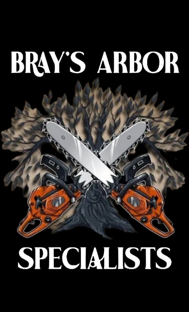 Bray’s Arbor Specialists - tree service in Columbus, OH