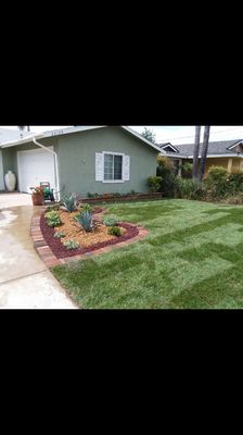SOD Installation - Full landscape and tree service,Sprinkler installation, tree trimming, tree removal , stump grinding ,new sod, reseed, planting , mulching, seasonal flowers ,fertilizing , clean-ups, and weekly maintenance.