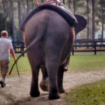 Two Tails Ranch - Zoos Near Me - Williston, Florida