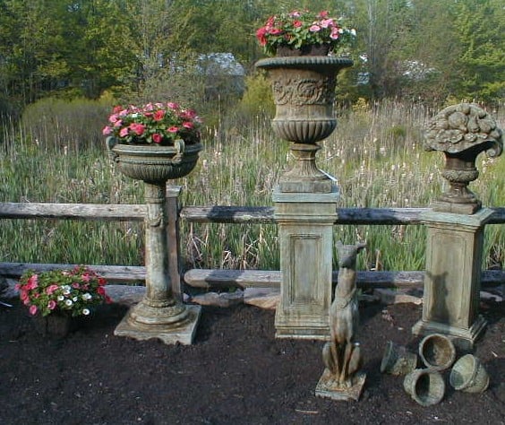 Backyard Birds & Garden Frills Image