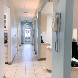 Maria Balce,DDS