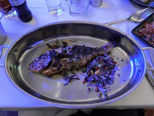 801 Fish Minneapolis by null