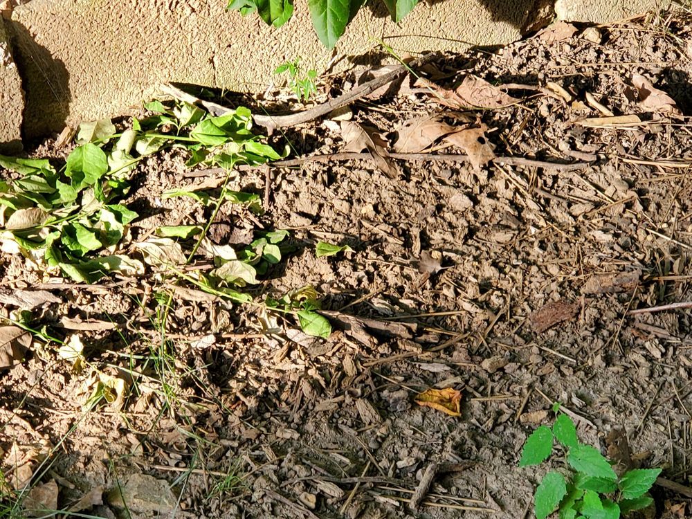 Slide of Pipe Wrench Plumbing, Heating & Cooling