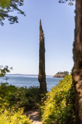 Deception Pass State Park by null