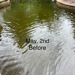 Sauer Pools - Pool opening