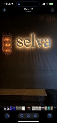 Selva Rooftop Lounge by null