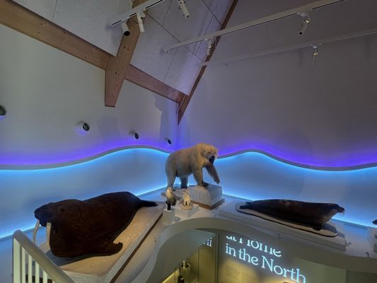 Peary-MacMillan Arctic Museum by null