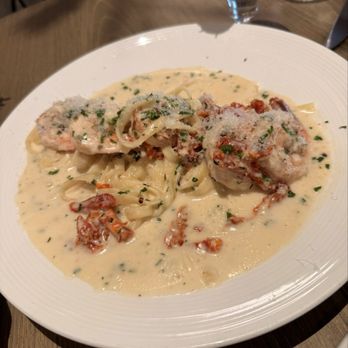 The Amalfi Llama - Shrimp Scampi - Italian Near Me - San Diego, California