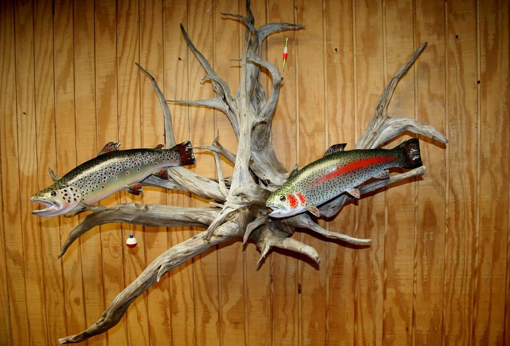 Kleer Taxidermy - taxidermy in Crescent, PA