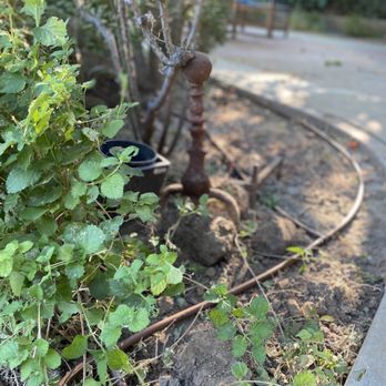 America's Irrigation & Landscaping - Thoughtfully placed new drip lines. - Landscaping Near Me - Riverside, California America's Irrigation & Landscaping - Thoughtfully placed new drip lines. - Landscaping Near Me - Riverside, California