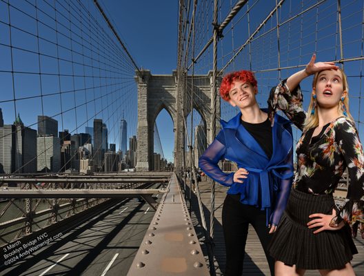 Brooklyn Bridge by null