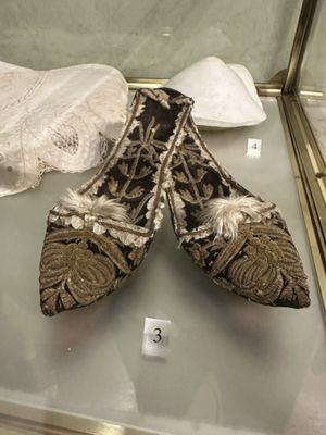 Museo Napoleonico by null