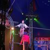Circus Lena gift card