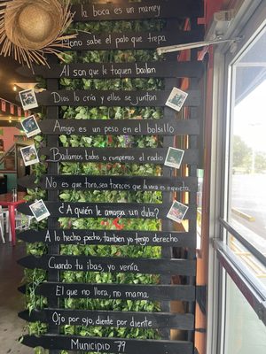 Casa Vieja - Kissimmee Florida by null