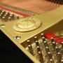 Photo of FortePiano Academy