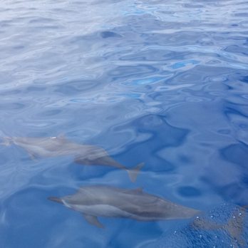 Napali Exclusive Charters - Boating Near Me - Kekaha, Hawaii