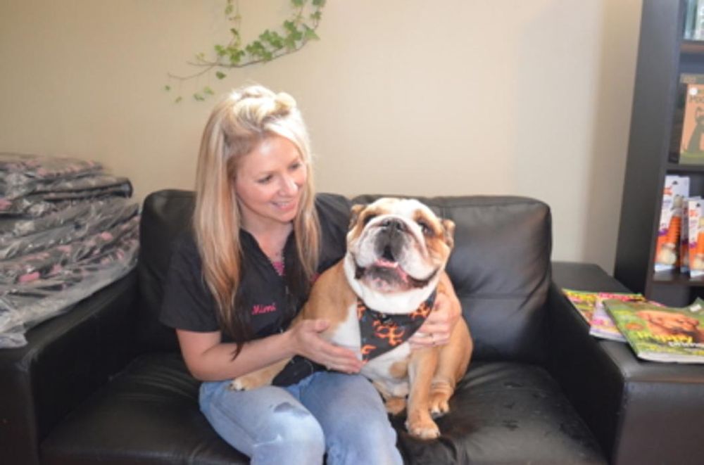 MIMI’S PET GROOMING Updated October 2024 11 Photos 245 West