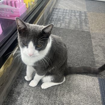 Union Convenience & Grocery - Who's such a cute boy - Convenience Stores Near Me - Flushing, New York Union Convenience & Grocery - Who's such a cute boy - Convenience Stores Near Me - Flushing, New York