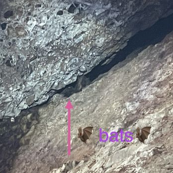 Pinnacles National Park - So exciting-! We love bats - Parks Near Me - Paicines, California