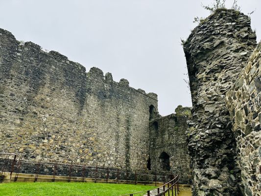 Carlingford Castle by null