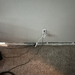 FirstKey HOMES - Sewage-soaked carpet that we were forced to live with for three months. Smelled horrible.