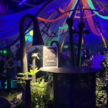 AREA15 - Tarot reading! - Venues & Event Spaces Near Me - Las Vegas, Nevada AREA15 - Tarot reading! - Venues & Event Spaces Near Me - Las Vegas, Nevada