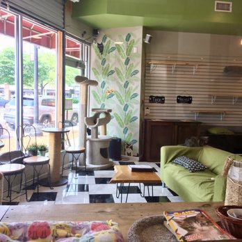 The Cafe Meow - Cat room - Coffee & Tea Near Me - Roseville, Minnesota The Cafe Meow - Cat room - Coffee & Tea Near Me - Roseville, Minnesota