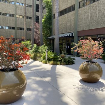 Courtyard Cafe - Outside patio area - Cafes Near Me - Los Angeles, California