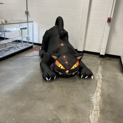 Goodwill Thrift Store & Donation Center - Black cat