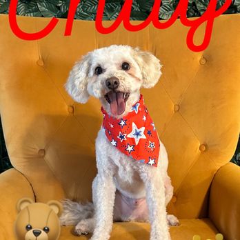 Fancy Paws - Pet Groomers Near Me - Pecos, Texas Fancy Paws - Pet Groomers Near Me - Pecos, Texas