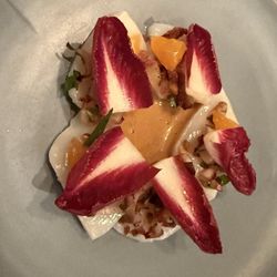 Elmer - Scallops