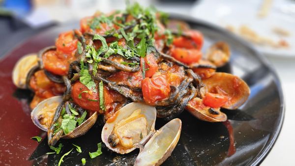 Doppio Zero Concord Veranda by null