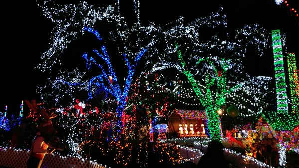 Stanley Park Railway by null