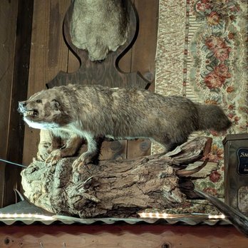 AJ Spurs Saloon & Dining Hall - Watch out for the badger! - Steakhouses Near Me - Grover Beach, California