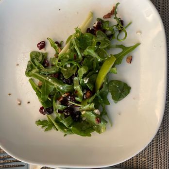 Savor - Granny Smith and cranberry arugula - pre fix lunch... started eating it before we took a picture A bit too vinegary for us. - New American Near Me - Niagara Falls, New York Savor - Granny Smith and cranberry arugula - pre fix lunch... started eating it before we took a picture A bit too vinegary for us. - New American Near Me - Niagara Falls, New York