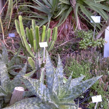 Botanischer Garten - Parks Near Me - Bern, BE