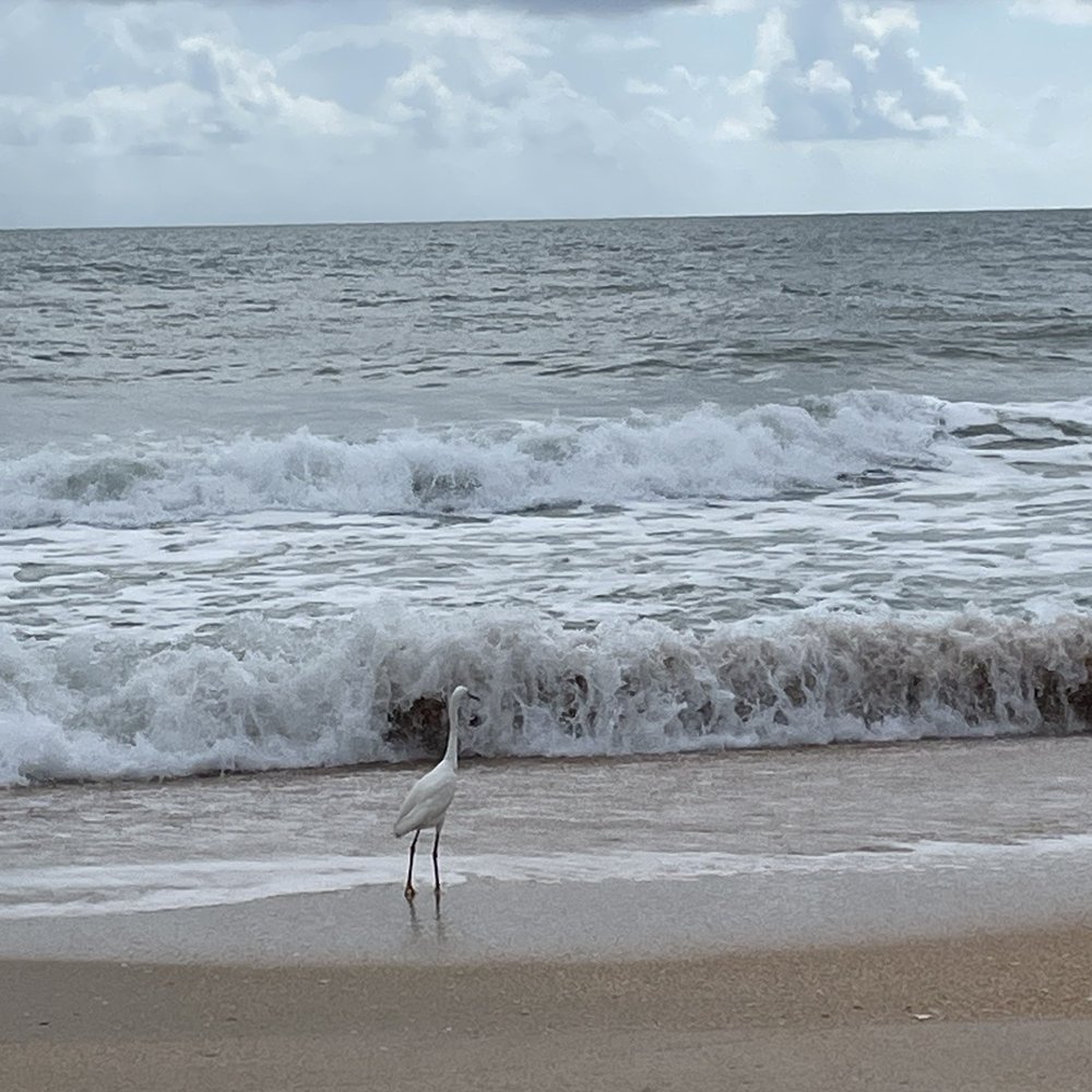 Varn Park - Beaches Near Me - Palm Coast, Florida