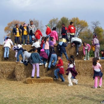 Curran's Orchard - There's lots for the kids to do. - Farmers Market Near Me - Rockford, Illinois