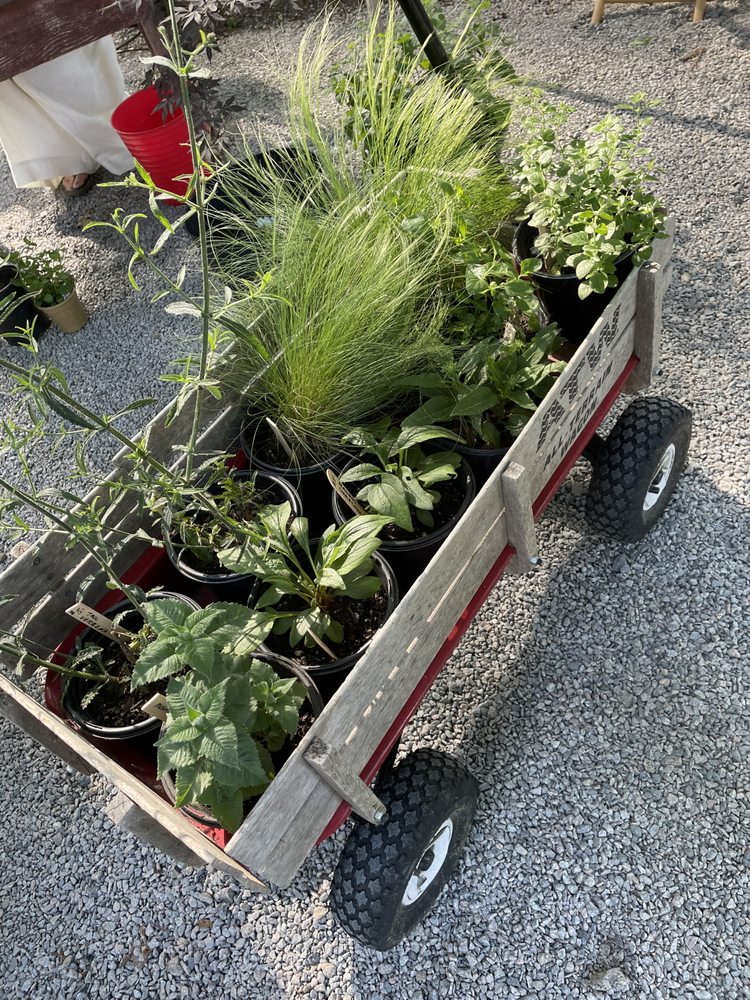 Social spots from The Garden At Portridge