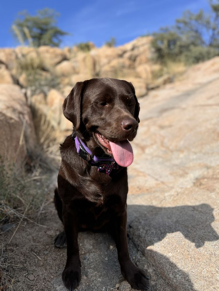 Social spots from Point Of Rocks RV Campground