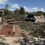 Photo of Acp Tree & Handyman Services