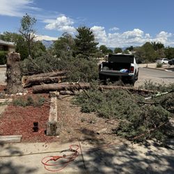 Acp Tree & Handyman Services