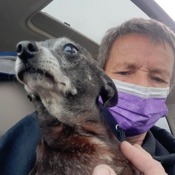 Alpine Veterinary Hospital - Grandma 9 yr old pregnancy, she would not have survived without Dr. Virk - Veterinarians Near Me - Concord, California Alpine Veterinary Hospital - Grandma 9 yr old pregnancy, she would not have survived without Dr. Virk - Veterinarians Near Me - Concord, California