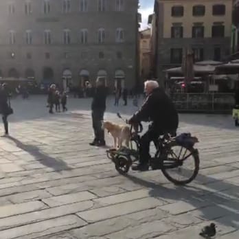 Piazza del Duomo - Public Plazas Near Me - Florence, FI