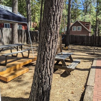 Black Mountain Coffee Roasting - Big outdoor area with lots of places to sit and drink under the trees. - Coffee Roasteries Near Me - Idyllwild, California Black Mountain Coffee Roasting - Big outdoor area with lots of places to sit and drink under the trees. - Coffee Roasteries Near Me - Idyllwild, California